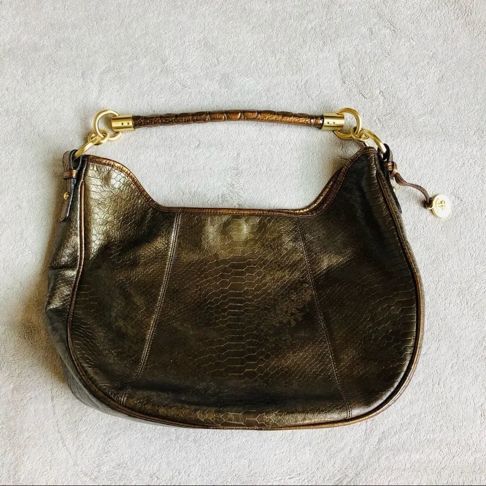 Brahmin new dust